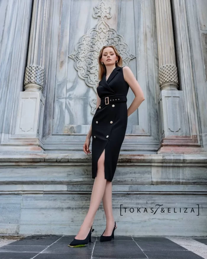 Palvin Dress